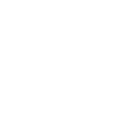 Dim Mak Records